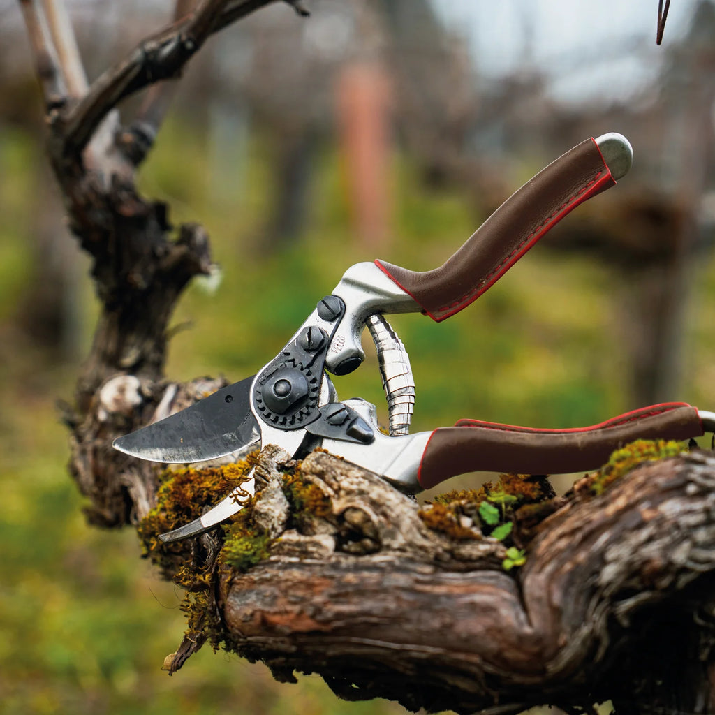 Felco 8 Elite Ergonomic Handle Hand Pruner Shear Secateurs