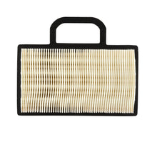 Load image into Gallery viewer, Briggs & Stratton 14-24hp Filter-A/C Cartridge 499486S