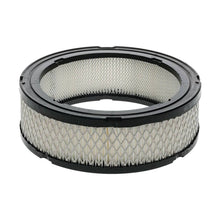 Load image into Gallery viewer, Briggs & Stratton L-Head & V-Twin Filter-A/C Cartridge 394018S