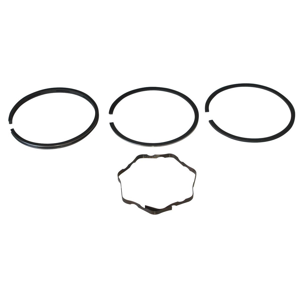 PowerMowers provides professional lawn & garden products that prioritises cutting-edge performance & user-safety. Briggs & Stratton 10/11/12.5/18 HP Piston Ring Set 391780, 394665
