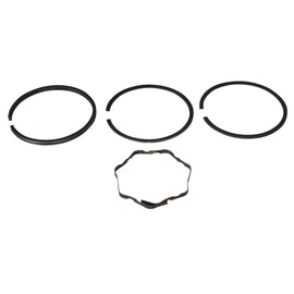 PowerMowers provides professional lawn & garden products that prioritises cutting-edge performance & user-safety. Briggs & Stratton 10/11/12.5/18 HP Piston Ring Set 391780, 394665