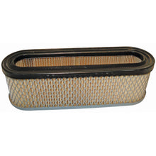 Load image into Gallery viewer, PowerMowers provides professional lawn &amp; garden products that prioritises cutting-edge performance &amp; user-safety. Briggs &amp; Stratton 253700/256700/280700/281700 Air Filter 399806, 491519