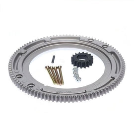 Briggs & Stratton Genuine Ring Gear Set 399676