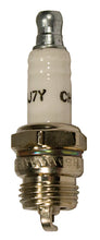 Load image into Gallery viewer, CHAMPION Spark Plug Champion Dj7Y
