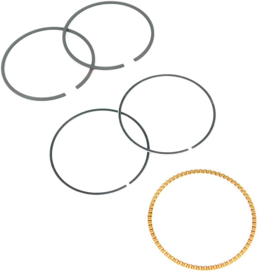 Briggs & Stratton Genuine Piston Ring Set 590523