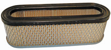Load image into Gallery viewer, Briggs &amp; Stratton/John Deere 400700/40A700/402700/421700/422700 Air Filter Set of (4) 394019, AM38990