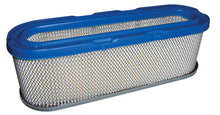 Load image into Gallery viewer, Briggs &amp; Stratton 253700/256700/280700/281700 Air Filter Set of (4) 399806, 491519