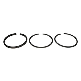 PowerMowers provides professional lawn & garden products that prioritises cutting-edge performance & user-safety. Briggs & Stratton 3.5HP/5HP Piston Ring Set 298982