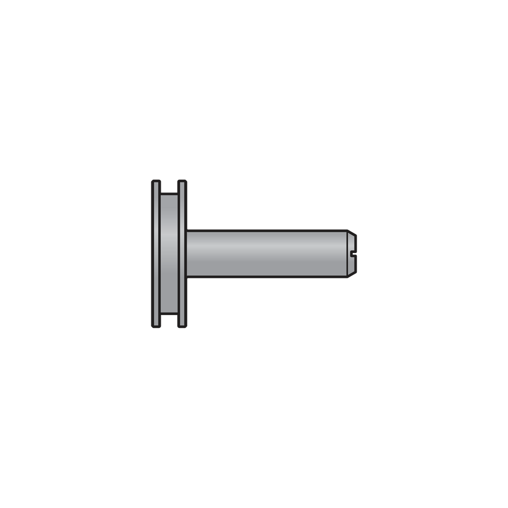Felco Piston With Guiding Rod