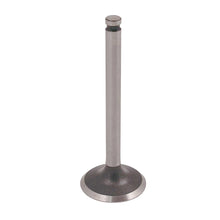 Load image into Gallery viewer, Kawasaki FH451V/FH490V/FH500V/FH531V/FH541V Inlet Valve KAW12004-7001