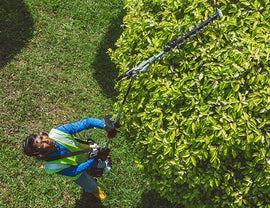 Shindaiwa AH236S-LW 21.2cc Long Reach Pole Hedge Trimmer - 2.4m Shaft