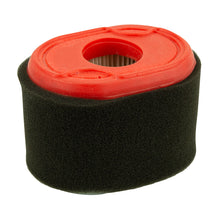 Load image into Gallery viewer, Briggs &amp; Stratton/GA AIR8522/BRI797261/BRI796970 Air Filter And Pre-Filter 796970, 083132