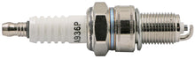 Load image into Gallery viewer, PowerMowers provides professional lawn &amp; garden products that prioritises cutting-edge performance &amp; user-safety. Archer Spark Plug Set of (10) RN11YC, BPR5ES