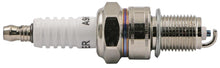 Load image into Gallery viewer, PowerMowers provides professional lawn &amp; garden products that prioritises cutting-edge performance &amp; user-safety. Archer Spark Plug 10 Pack RN9YC/BPR6ES