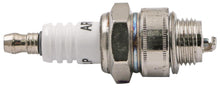 Load image into Gallery viewer, PowerMowers provides professional lawn &amp; garden products that prioritises cutting-edge performance &amp; user-safety. Archer Spark Plug Set of (10) RJ19LM/BR2LM