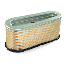 Load image into Gallery viewer, Briggs &amp; Stratton/GA/Diamond BRI496894S/AIR4070/AIR4069 Cartridge Air Filter 493909, 496894