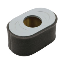 Load image into Gallery viewer, PowerMowers provides professional lawn &amp; garden products that prioritises cutting-edge performance &amp; user-safety. Briggs &amp; Stratton 13H000 Air Filter 797033