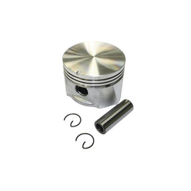 PowerMowers provides professional lawn & garden products that prioritises cutting-edge performance & user-safety. Briggs & Stratton Piston 391285