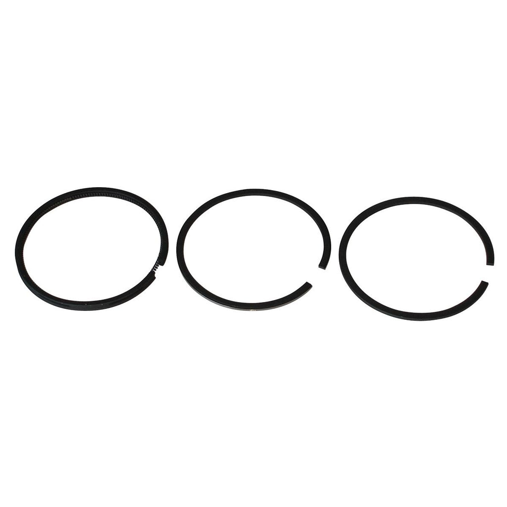 PowerMowers provides professional lawn & garden products that prioritises cutting-edge performance & user-safety. Briggs & Stratton Piston Ring Set 391669