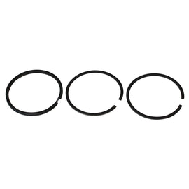 PowerMowers provides professional lawn & garden products that prioritises cutting-edge performance & user-safety. Briggs & Stratton Piston Ring Set 391669