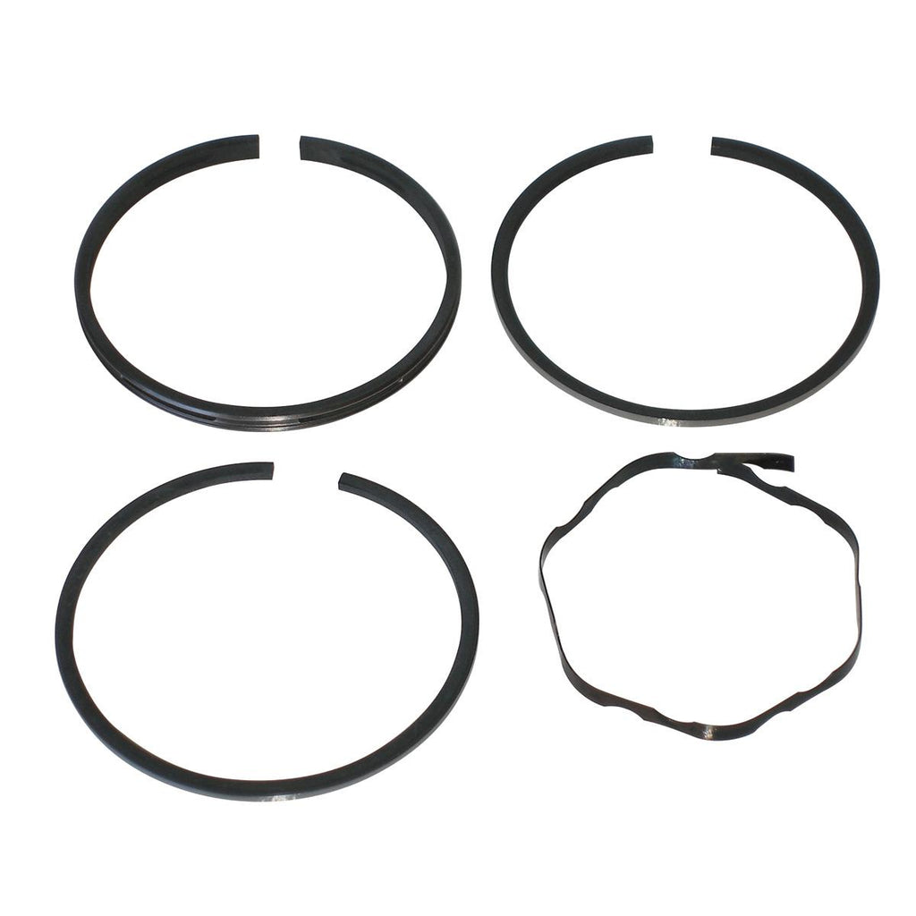 PowerMowers provides professional lawn & garden products that prioritises cutting-edge performance & user-safety. Briggs & Stratton Piston Ring Set 396459