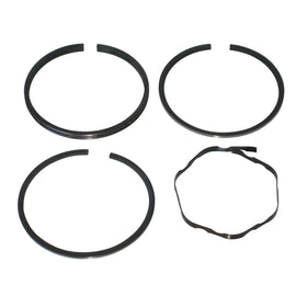 PowerMowers provides professional lawn & garden products that prioritises cutting-edge performance & user-safety. Briggs & Stratton Piston Ring Set 396459