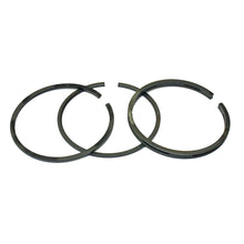 Load image into Gallery viewer, PowerMowers provides professional lawn &amp; garden products that prioritises cutting-edge performance &amp; user-safety. Briggs &amp; Stratton Piston Rings 391654