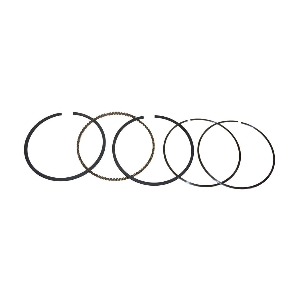 PowerMowers provides professional lawn & garden products that prioritises cutting-edge performance & user-safety. Briggs & Stratton Piston Rings 795132, 795690