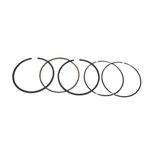 Load image into Gallery viewer, PowerMowers provides professional lawn &amp; garden products that prioritises cutting-edge performance &amp; user-safety. Briggs &amp; Stratton Piston Rings 795132, 795690