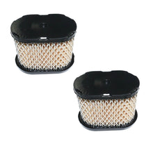 Load image into Gallery viewer, Briggs &amp; Stratton 5.5-6.75 Intek Series Filter-A/C Cartridge Set of (2) 697029, 100-093