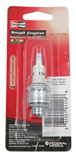 Load image into Gallery viewer, PowerMowers provides professional lawn &amp; garden products that prioritises cutting-edge performance &amp; user-safety. Champion Mower Spark Plug Set of (1) RJ19LMMP