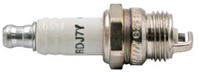 Load image into Gallery viewer, PowerMowers provides professional lawn &amp; garden products that prioritises cutting-edge performance &amp; user-safety. Champion Spark Plug 4 Pack RDJ7Y