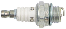 Load image into Gallery viewer, PowerMowers provides professional lawn &amp; garden products that prioritises cutting-edge performance &amp; user-safety. Champion Spark Plug CJ8, Set of (4) 843