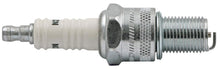 Load image into Gallery viewer, PowerMowers provides professional lawn &amp; garden products that prioritises cutting-edge performance &amp; user-safety. Champion Spark Plug N21 Set of (4) 375-N21
