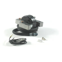 Load image into Gallery viewer, Briggs &amp; Stratton/GA/John Deere ECP5080 Ignition Coil 398811, 395492