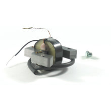 Load image into Gallery viewer, Briggs &amp; Stratton/GA ECP618 Coil 298968, 395492