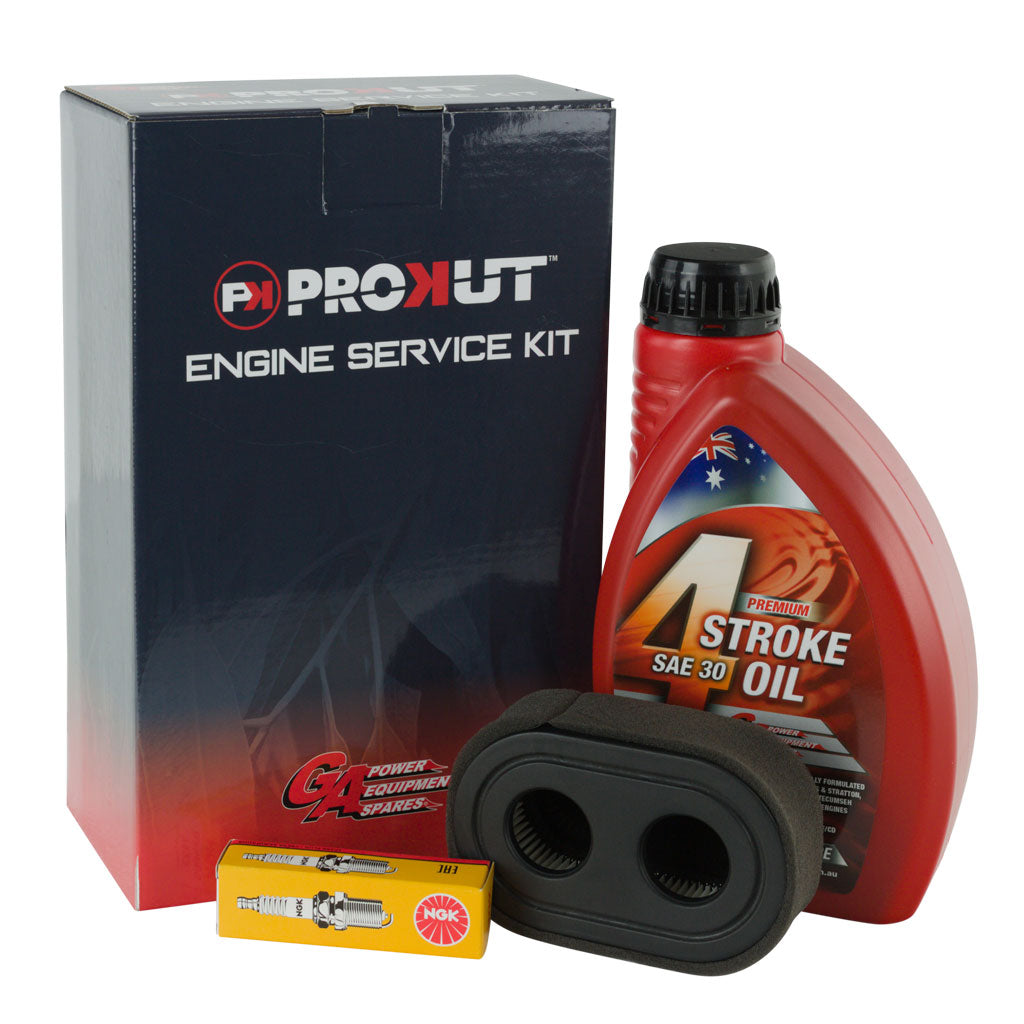 GA/Briggs & Stratton/NGK/CHAMPION/PROKUT ESK8249/AIR7856/RC12YC/LUB6001 Engine Service Kit 798452, 595191