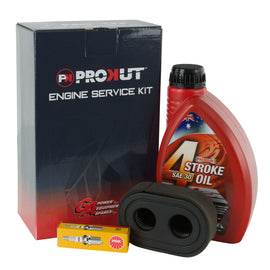 GA/Briggs & Stratton/NGK/CHAMPION/PROKUT ESK8249/AIR7856/RC12YC/LUB6001 Engine Service Kit 798452, 595191