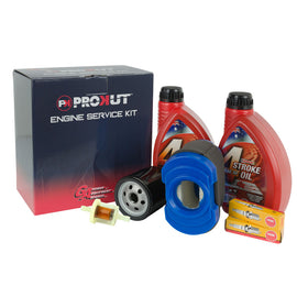 GA/Briggs & Stratton/NGK/CHAMPION/PROKUT ESK8257/AIR6849/OIP3954/FPL5553/RC12YC Engine Service Kit B&S Professional Series V Twin 20 - 27Hp 792105, 491056
