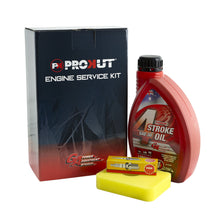 Load image into Gallery viewer, GA/Briggs &amp; Stratton/NGK/CHAMPION/PROKUT ESK8495/AIR7867/RC12YC/LUB6001 Engine Service Kit B&amp;S 450E, 500E 799579, 692051