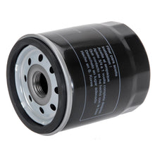 Load image into Gallery viewer, PowerMowers provides professional lawn &amp; garden products that prioritises cutting-edge performance &amp; user-safety. Bobcat/Case/Caterpillar/Dixon/Exmark Transportation Filter AYP 142912, Dixon 5565