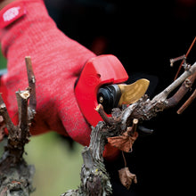Load image into Gallery viewer, Felco 834V Electric Heavy-duty Vineyard Pruner Shear Secateurs Kit
