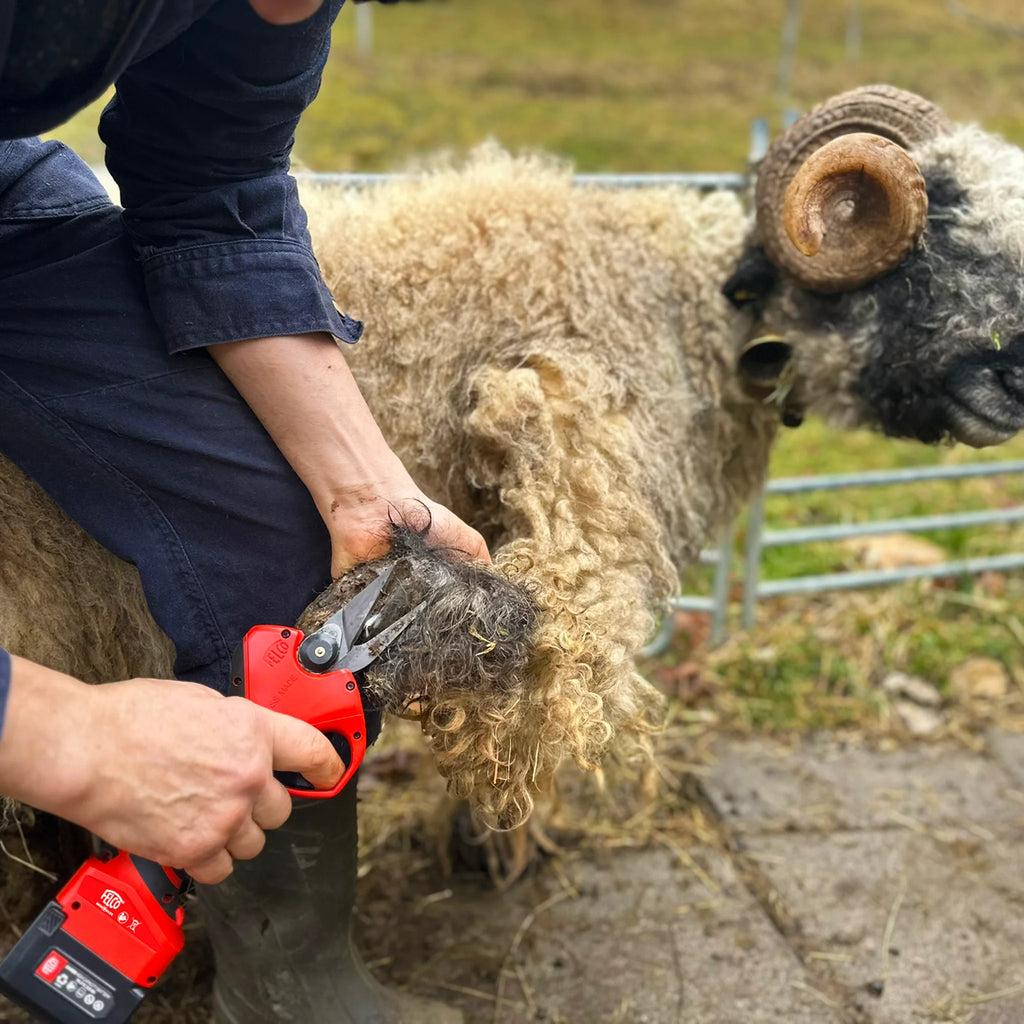 Felco 834H Electric Sheep Hoof Ovine 40mm Clipper Pruner Secateurs Kit