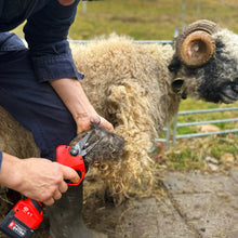 Load image into Gallery viewer, Felco 834H Electric Sheep Hoof Ovine 40mm Clipper Pruner Secateurs Kit