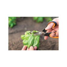 Load image into Gallery viewer, Fiskars SP240 Garden Scissors Multifunction Solid Vegetable Shears JM1530