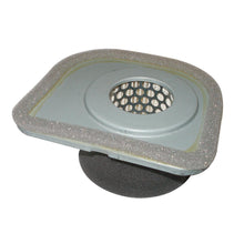 Load image into Gallery viewer, PowerMowers provides professional lawn &amp; garden products that prioritises cutting-edge performance &amp; user-safety. Kawasaki/John Deere/Gravely FA210 Air Filter 49064-2059, M71952