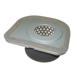 PowerMowers provides professional lawn & garden products that prioritises cutting-edge performance & user-safety. Kawasaki/John Deere/Gravely FA210 Air Filter 49064-2059, M71952