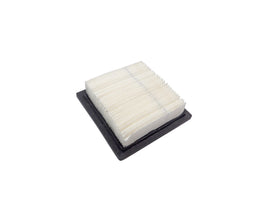 Tecumseh TVS840/TVSXL840/TC200/TC300 Air Filter 429778, 450247