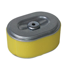 Load image into Gallery viewer, Honda 3.5-4hp GX110/GX120 Filter-A/C Cartridge 17210-ZE0-822