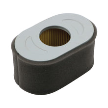 Load image into Gallery viewer, Briggs &amp; Stratton JM4512 Air Filter 797033, JM4512